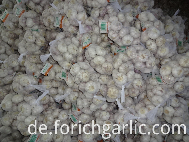 Fresh Normal White Garlic High Quality
